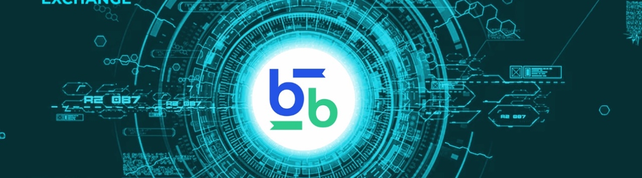 Bitbse Exchange