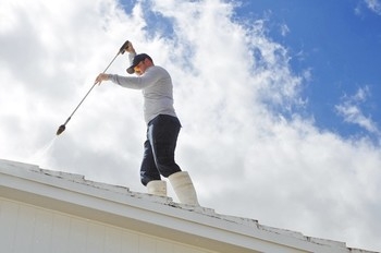 Gutter Cleaning