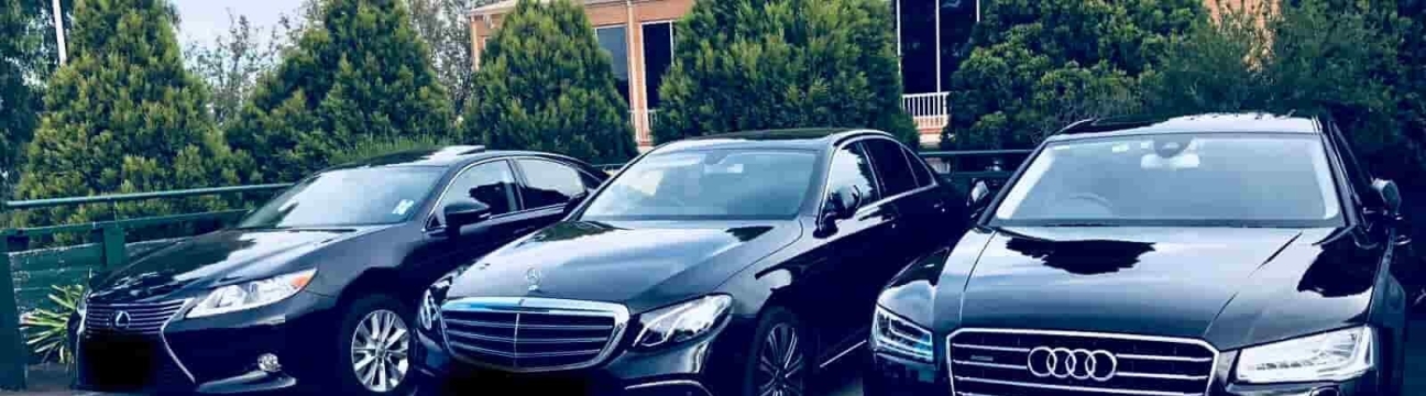 Chauffeur Link Mel