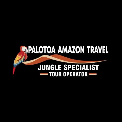 Palotoa  Amazon