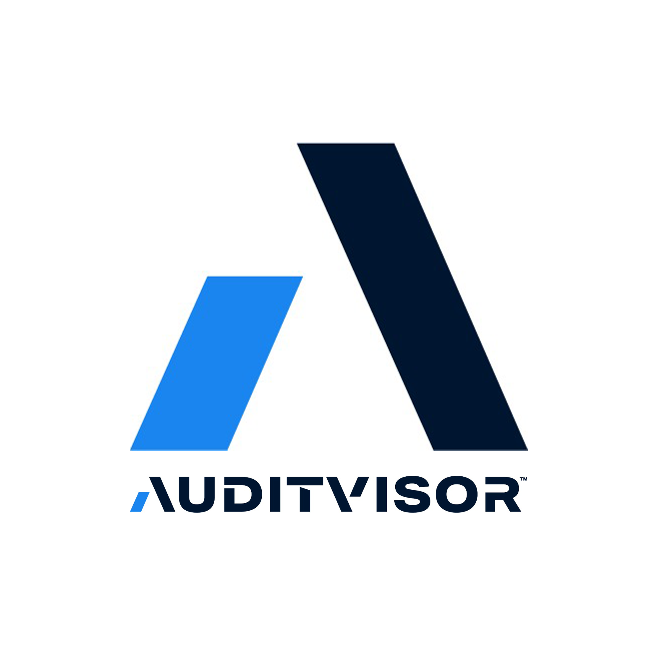 Audit Visor