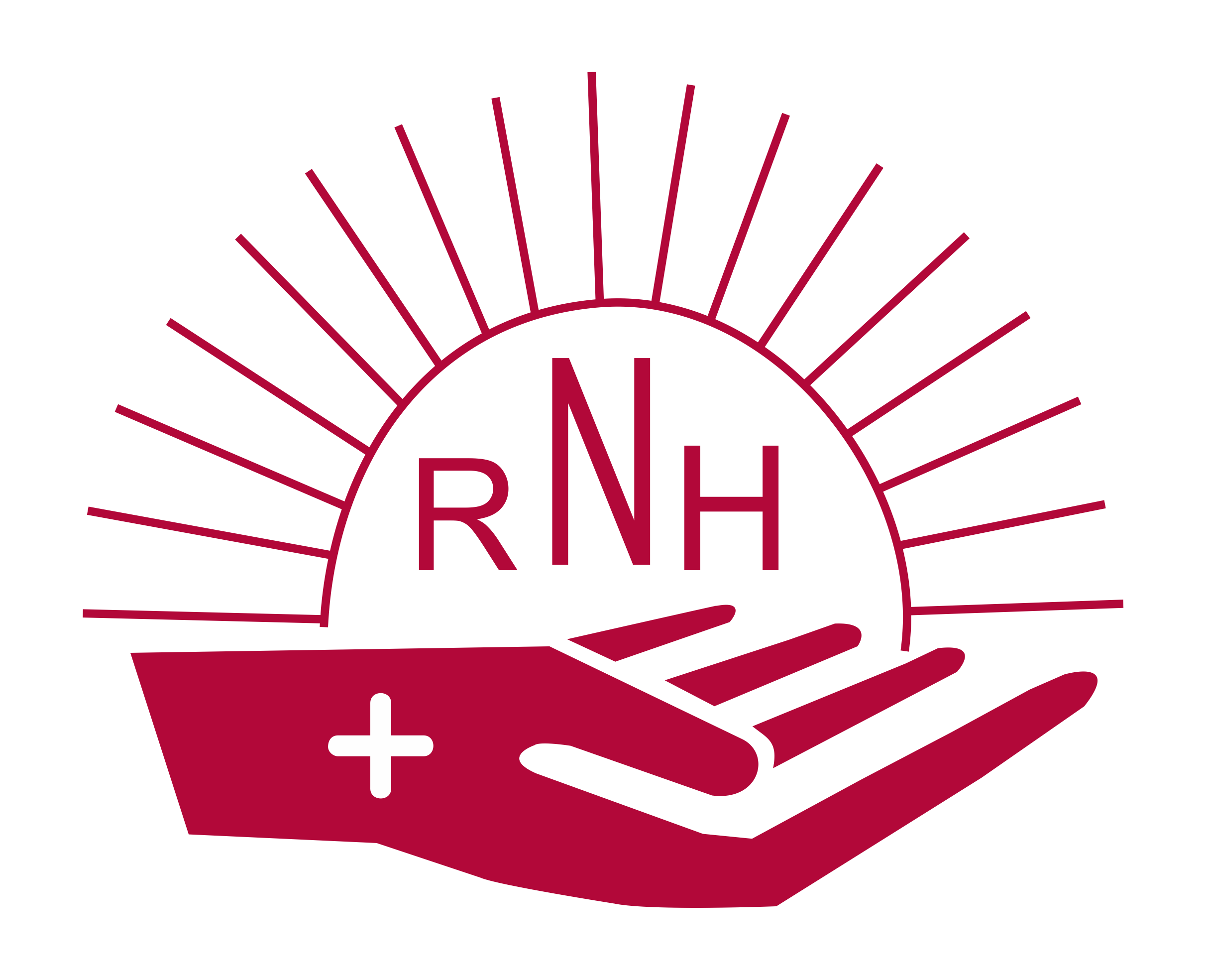 RajNursing Home