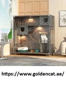 Goldencat Goldencat