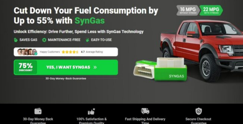 SynGas Erfahrungen