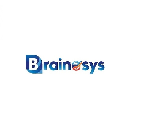 Brainosys  Pvt Ltd