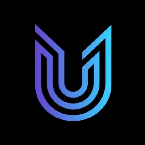 Ubik  Capital
